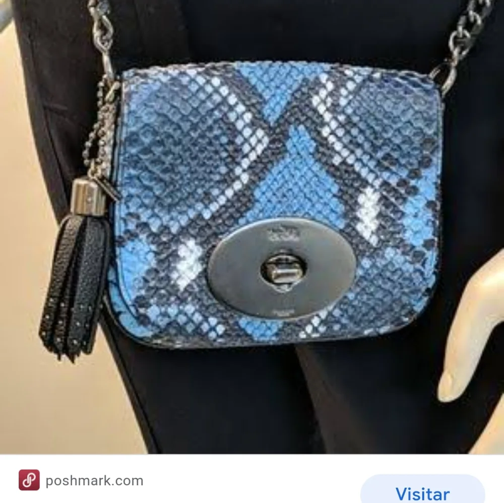 Coach bag gray python Leather_4